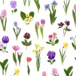 Rainbow Of Spring Flowers | Gift Wrap -tool Sales 1544220252