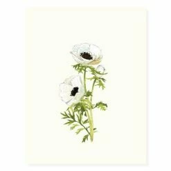 Garden Jewels | Assorted 8 Card Set 10 Garden Jewels | Assorted 8 Card Set -tool Sales 33660 anemone blossoms OFS weba grande 3df7f07c 7a24 4b30 bccb 36c70051ba71