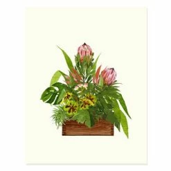 Plum Bouquets | Assorted 8 Card Set -tool Sales 33980 protea arrangement OFS weba 1024x1024 grande ceff2e73 0a87 4f00 93fa 2124f0948e7d