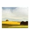 Golden Field | Art Print *