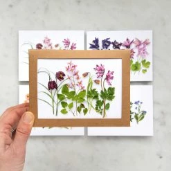 Spring Wildflowers | Assorted 8 Card Set -tool Sales 4f1eefd1f214487c43aa914667df89e0d30ab7a25494ba8085db581493953cde