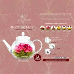 Blooming Flower Teas | Set Of 12 Assorted Tea Bags -tool Sales 6ffe7b3950779960d1fdd49ba99cfd6b9f9bd5f34ed5a5b2f6d016df06128797