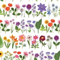 Blooming Rainbow | Gift Wrap -tool Sales 703e158cd55fd2103e4dfe006ba93bcf2974bca0547728f507135f1a83cc490f