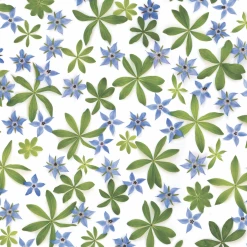 Sweet Woodruff And Borage | Gift Wrap -tool Sales 711f20f3ed56ebe4927d1576c6f72c01b84da80b071bc5bc67be798d81389315