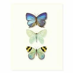 Garden Jewels | Assorted 8 Card Set 12 Garden Jewels | Assorted 8 Card Set -tool Sales 72230 butterfly trio OFS weba grande 12992a14 d0c9 4d7a 9af6 a2565691ae72