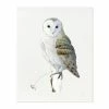 Winter Barn Owl | Art Print