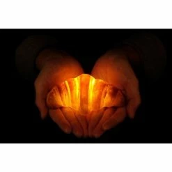 Croissant Bread Lamp -tool Sales DSCF0707 Jk31gBpD 5 large 66ad520e 6c6e 4a33 8852 a13c5aeb5fef