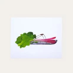 Organic Rhubarb | Art Print