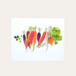 Sweet Carrots | Art Print