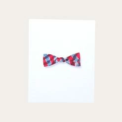 Plaid Bow Tie | Art Print *