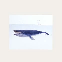 Humpback | Art Print
