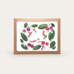 Red Berries And Green Leaves | Assorted 8 Card Set