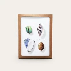 Ocean Hue | Assorted 8 Card Set