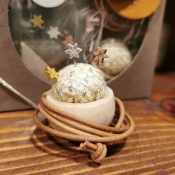 Tweed Pin Cushion Necklace And Pins * -tool Sales IMG 20210129 203157 3