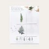 Botanical | Watercolor Coloring Kit
