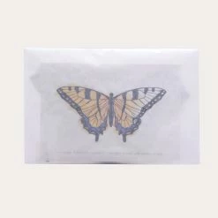 Butterfly Coloring Kit -tool Sales IMG 20210226 181444