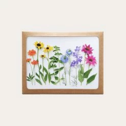 Wildflower Rainbows | Assorted 8 Card Set