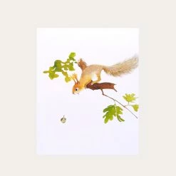 Aww Nuts | Art Print