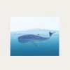 Whale Rider | Art Print