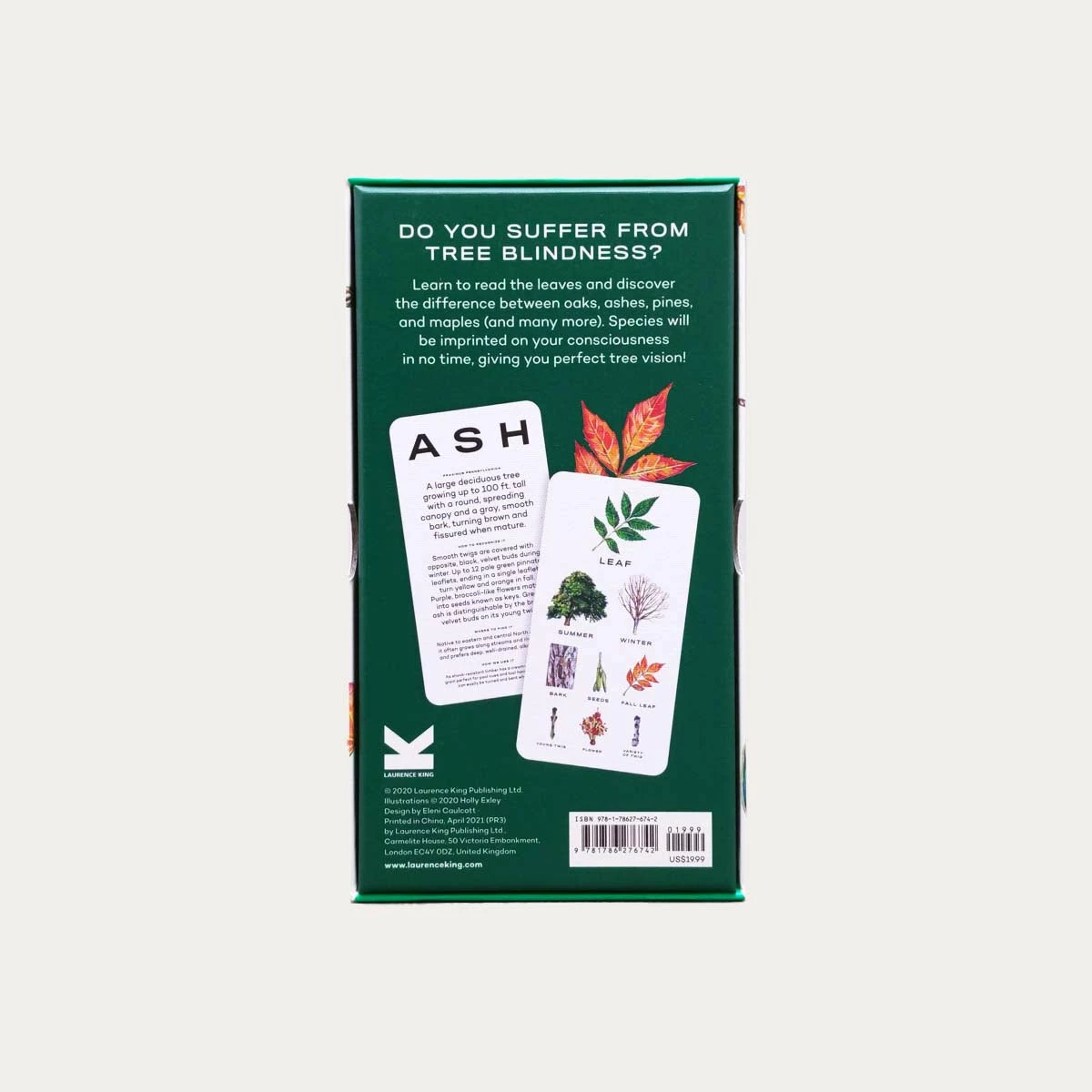 Tree Vision 2 Tree Vision - Image 2