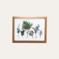 All Evergreens | Assorted 8 Card Set