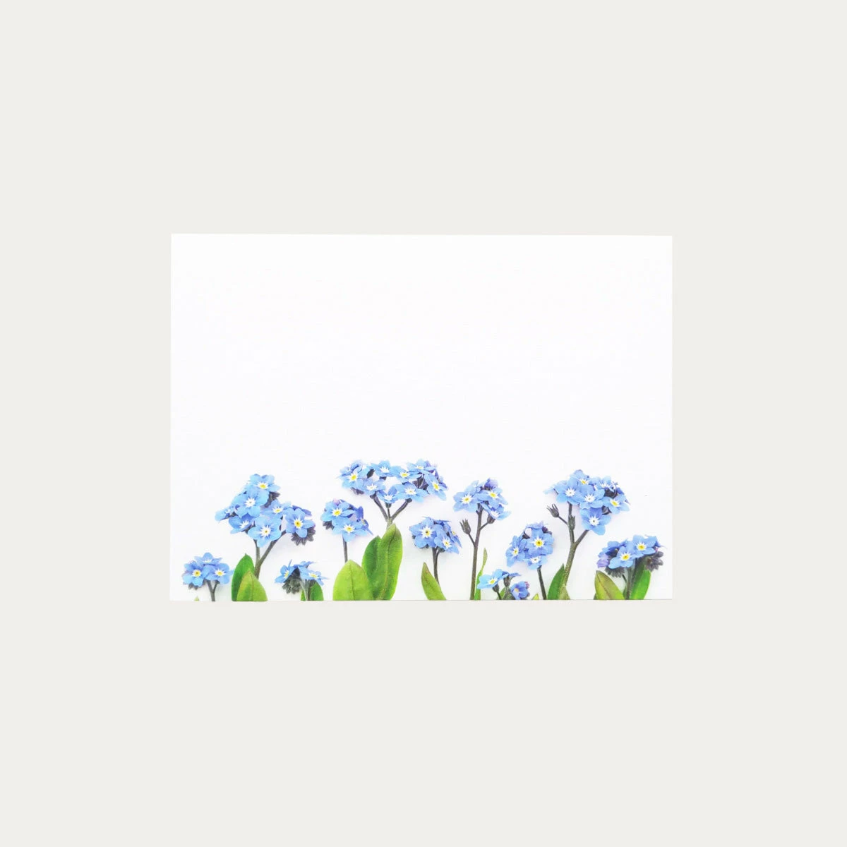 Blue Forget-me-not | 8 Flat Card Set 1 Blue Forget-me-not | 8 Flat Card Set