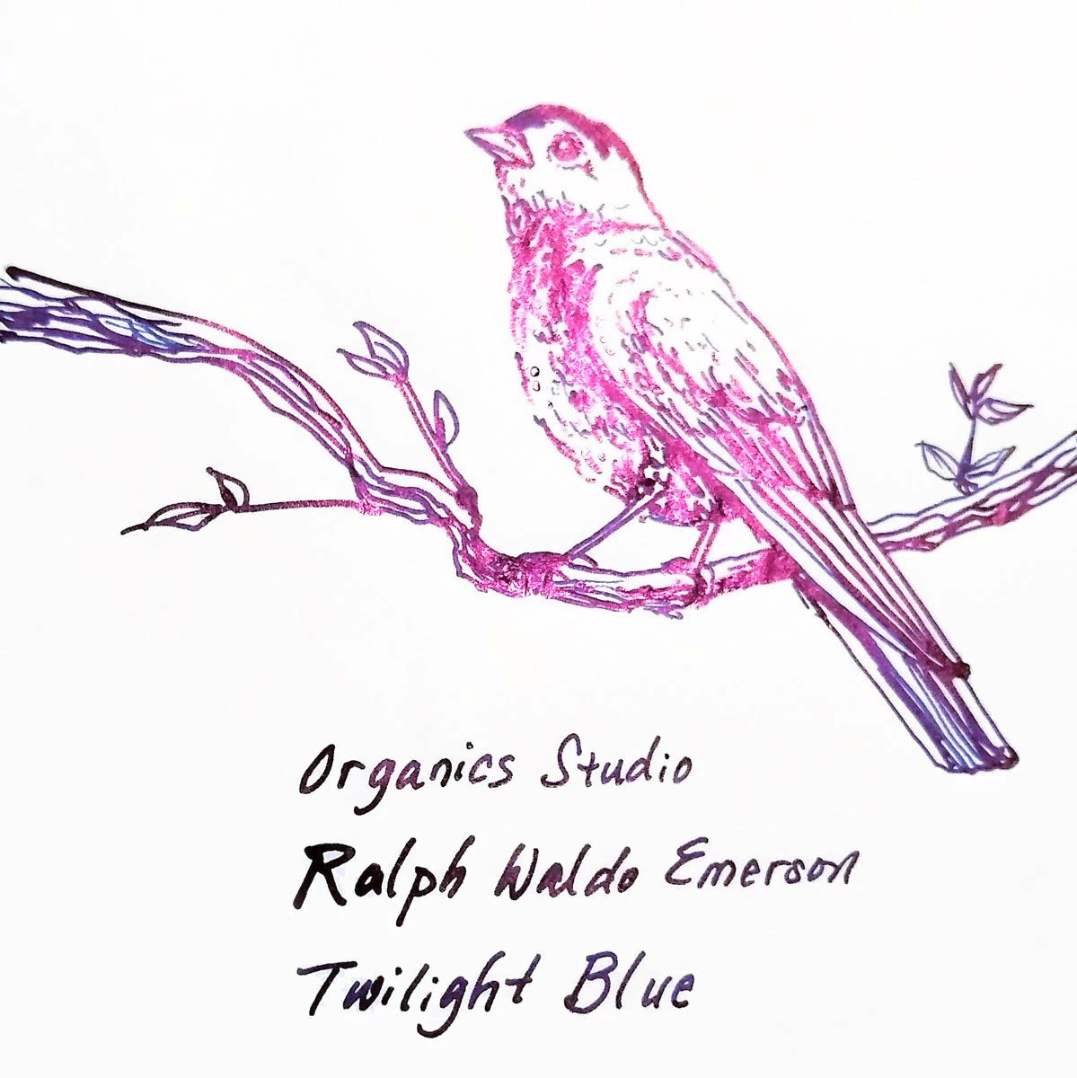 Ralph Waldo Emerson Twilight Blue | Fountain Pen Ink 2 Ralph Waldo Emerson Twilight Blue | Fountain Pen Ink - Image 2