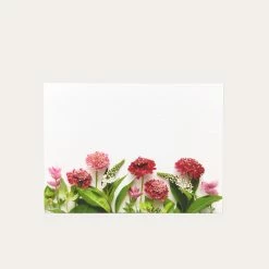 Red Pincushion Flowers | 8 Flat Card Set