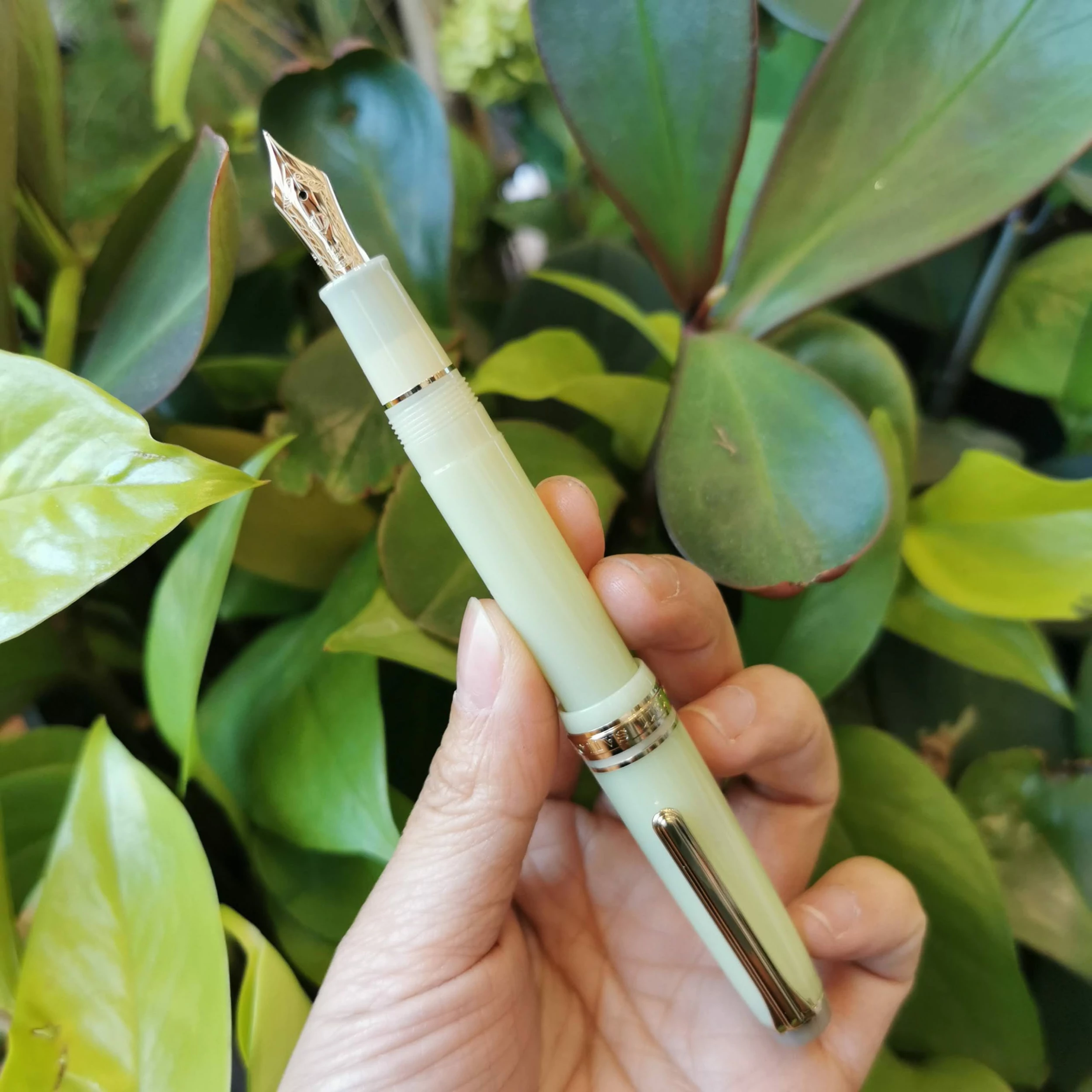 Pro Gear Slim Fountain Pen | Solar Term | Fuki | Limited Edition 2 Pro Gear Slim Fountain Pen | Solar Term | Fuki | Limited Edition - Image 2