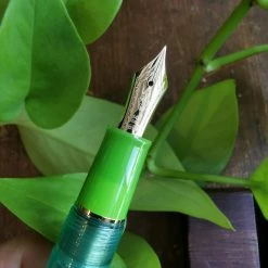 Pro Gear Slim Manyo #2 Fountain Pen Set | Grass | Limited Edition -tool Sales IMG 20230728 145327