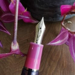 Pro Gear Slim Manyo #2 Fountain Pen Set | Rabbit Ear Iris | Limited Edition -tool Sales IMG 20230728 145418 edit 1649686471143069