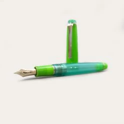 Pro Gear Slim Manyo #2 Fountain Pen Set | Grass | Limited Edition -tool Sales IMG 20230807 181708