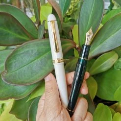 Platinum 3776 Century Laurel Green Fountain Pen With Gold Trim 7 Platinum 3776 Century Laurel Green Fountain Pen With Gold Trim -tool Sales IMG 20230809 145349