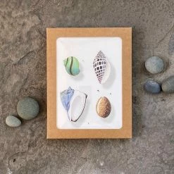 Ocean Hue | Assorted 8 Card Set 10 Ocean Hue | Assorted 8 Card Set -tool Sales IMG 46742