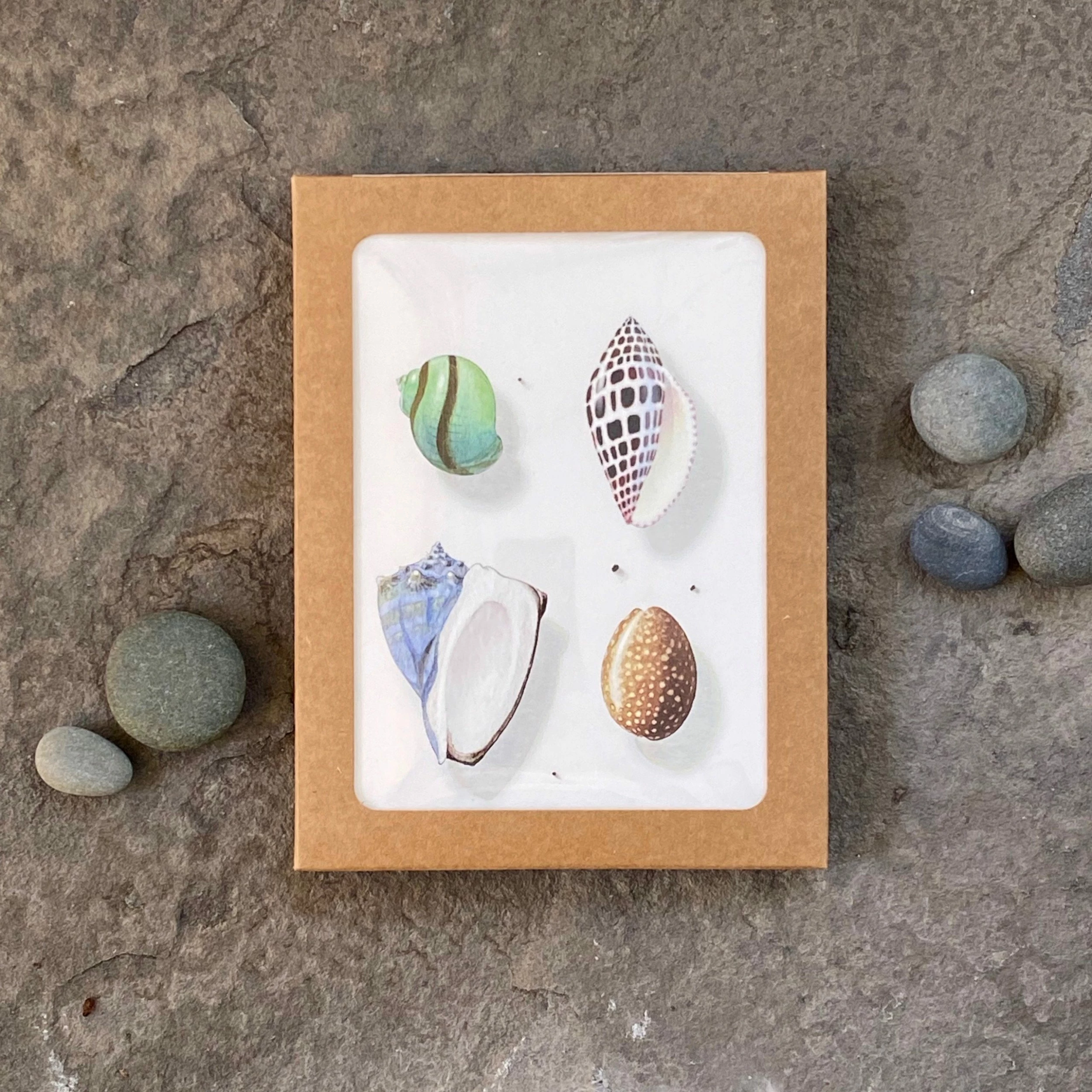 Ocean Hue | Assorted 8 Card Set 3 Ocean Hue | Assorted 8 Card Set - Image 3