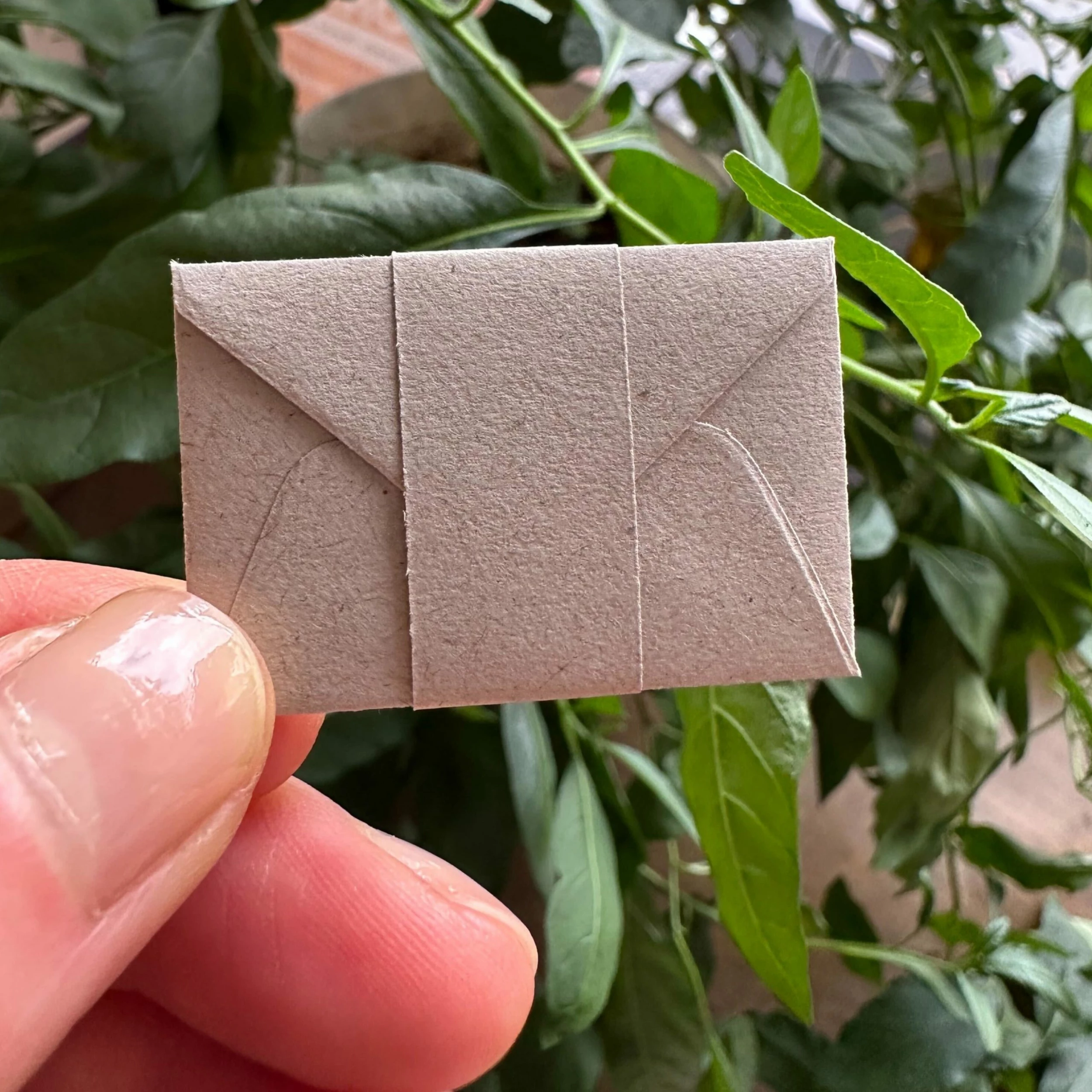 May Flowers | Tiny Notes With Envelopes | Set Of 12 2 May Flowers | Tiny Notes With Envelopes | Set Of 12 - Image 2