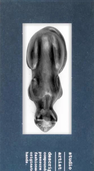 Cat | Studio Pad * 2 Cat | Studio Pad * - Image 2