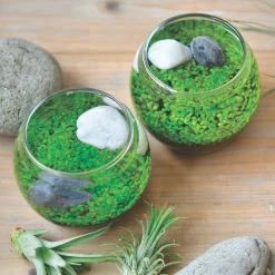 Water Garden -tool Sales WEB Water Garden Table