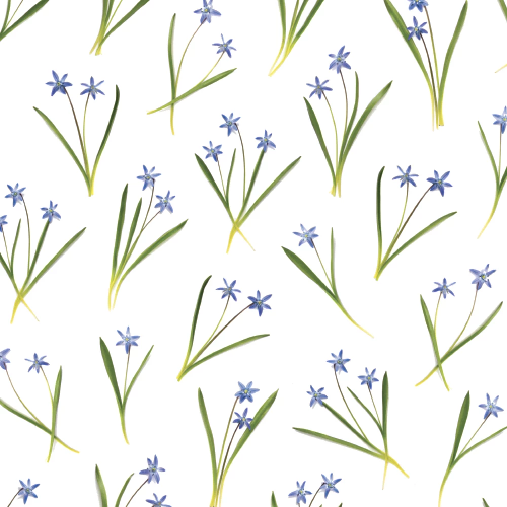 Blue Spring Flowers | Gift Wrap 3 Blue Spring Flowers | Gift Wrap - Image 3