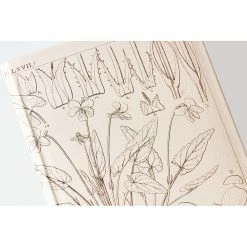 Hobonichi Techo 2024 Weeks Planner | Tomitaro Makino: Shihai Sumire | English -tool Sales extra 02 4fd18fb4 f4b7 4b94 a095 ba6a28a01518