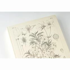 Hobonichi Techo 2024 A5 HON Planner | Tomitaro Makino: Yamazakura | English 13 Hobonichi Techo 2024 A5 HON Planner | Tomitaro Makino: Yamazakura | English -tool Sales extra 02 6f738a11 4486 48b6 afca 4ebd19790285