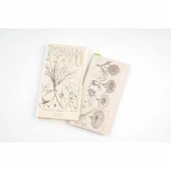 Hobonichi Techo 2024 Weeks Planner | Tomitaro Makino: Shihai Sumire | English -tool Sales extra 03 78756765 956c 4f0d bc6c 310322b44aab