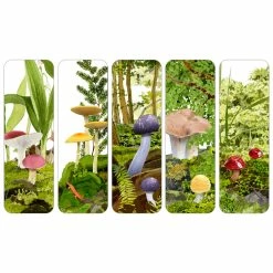 Mushroom Cove | Illustrated Bookmarks -tool Sales f9f80b2c0b43d4fe8a83faa93fc5c2bd69a1c7b255ef1bd31a09555bcfa7c407