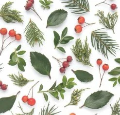 Evergreens And Berries | Gift Wrap -tool Sales il 1140xN.1635886165 ek8f