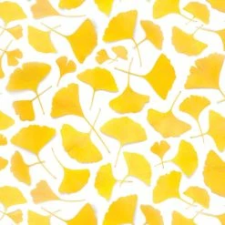 Yellow Ginkgo Leaves | Gift Wrap -tool Sales il 1140xN.1878042785 i3m4