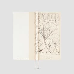 Hobonichi Techo 2024 Weeks Planner | Tomitaro Makino: Shihai Sumire | English -tool Sales zoom 02 0602bf27 cd1f 46cc b6b3 b8063c490586